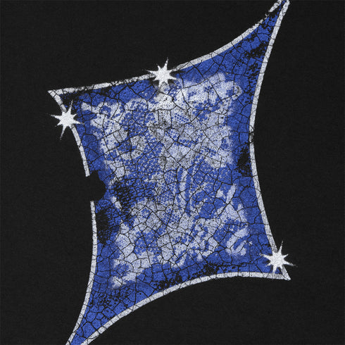 Passport Glint T-Shirt - Black - Streetart.fr